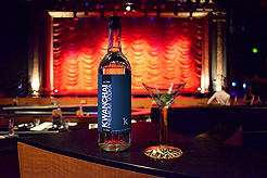 THE BIG GIG AT THE TRIPLE DOOR